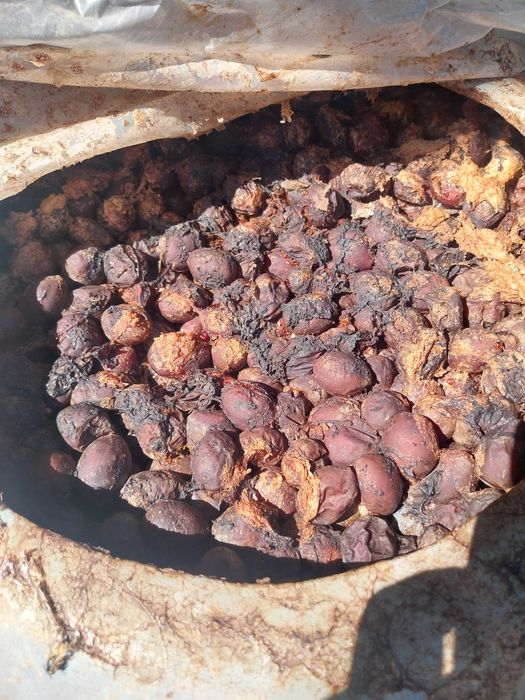 Vand borhot prune fermentat de 2 săptămânii, am 2000 l