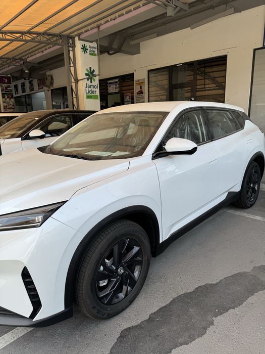 Dong Feng SKY 01