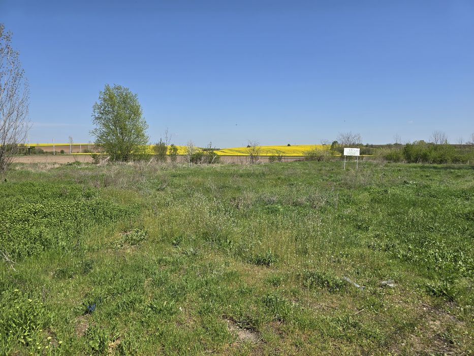 Teren de închiriat – 2.500 mp, deschidere 50 m, curent trifazic – DJ 5