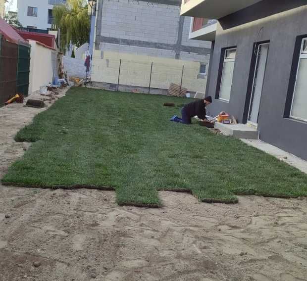 Gazonul Rulou Premium - Perfect pentru Casa Ta!