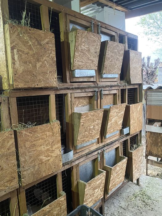 Продам клетки для кроликов