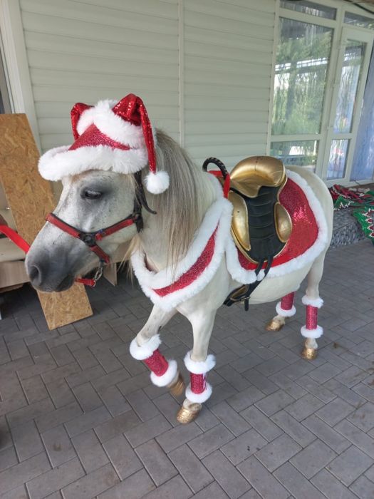 Аренда, кареты, пони