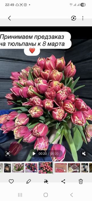 Тюльпаны в широком ассортименте