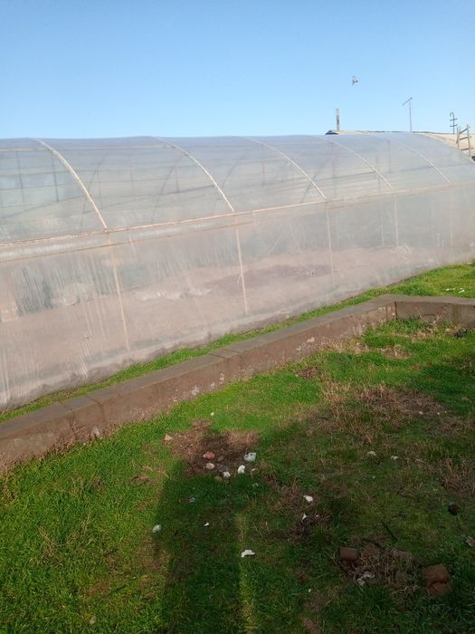 Тўй тепа Нурафшон шахрида Ташкент вилояти4 сўтик ер участкаси сотилади