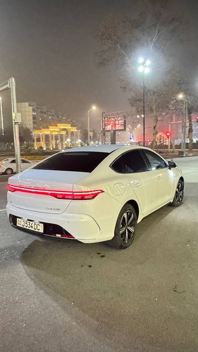 BYD chazor 4 pozitsa full