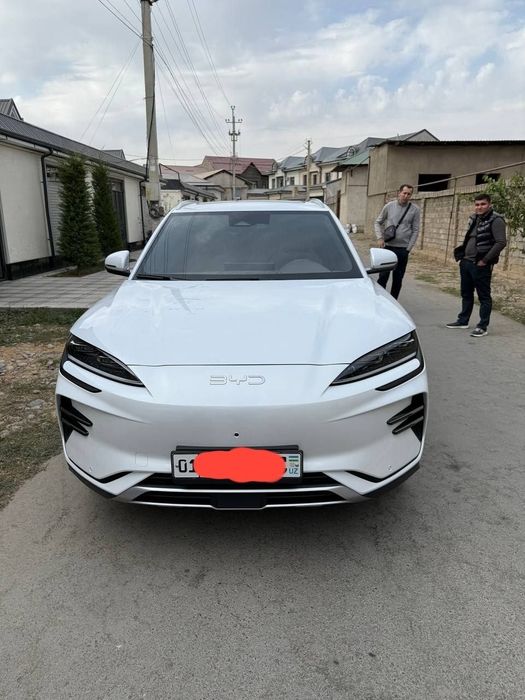 Byd chempion Restailing 2024