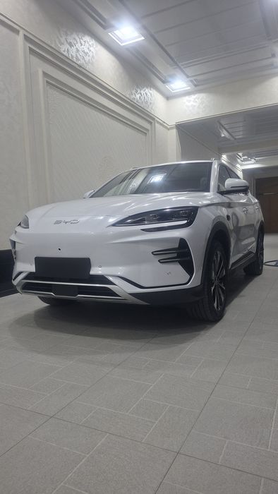 BYD chempion smart