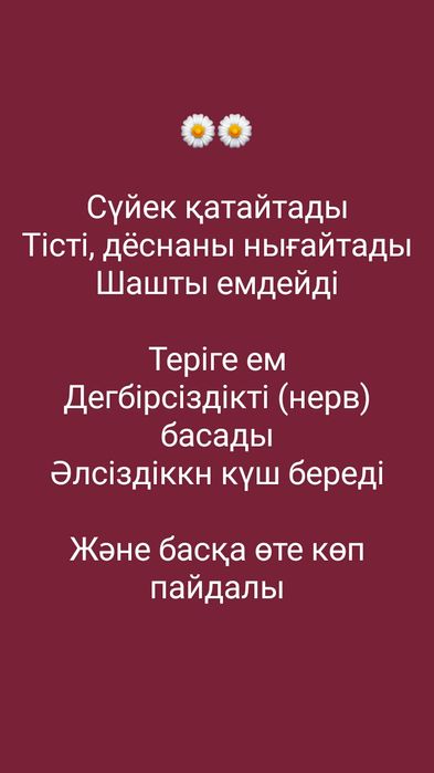 Жанетт Эгерхази