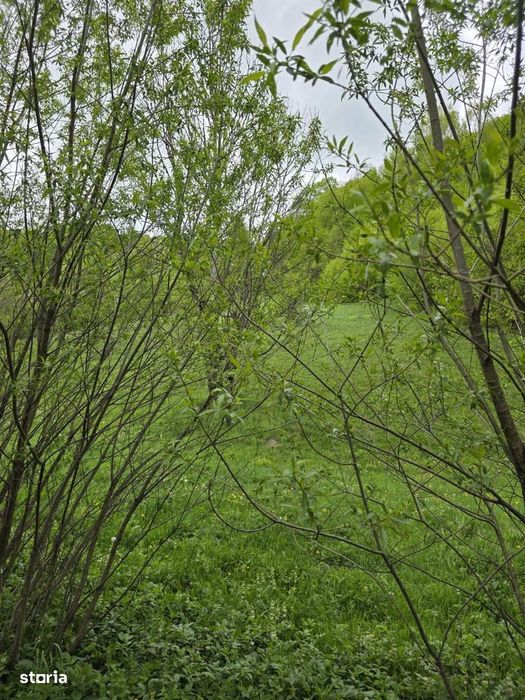 Teren extravilan in suprafata de 3.100 mp. situat pe Transapuseana-Pon