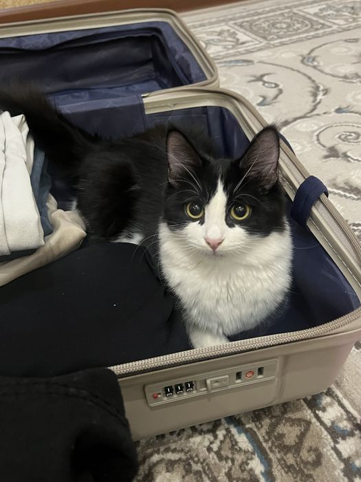 Прекрасная девочка)