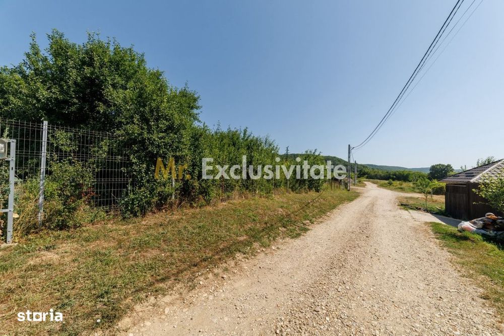 Teren intravilan Ștefănești Valea Mare Podgoria