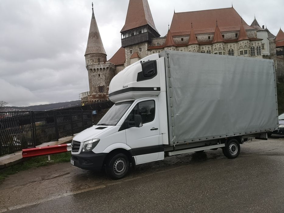 Transport Mobila. Dedeman. Colaborare.  Licență de tr