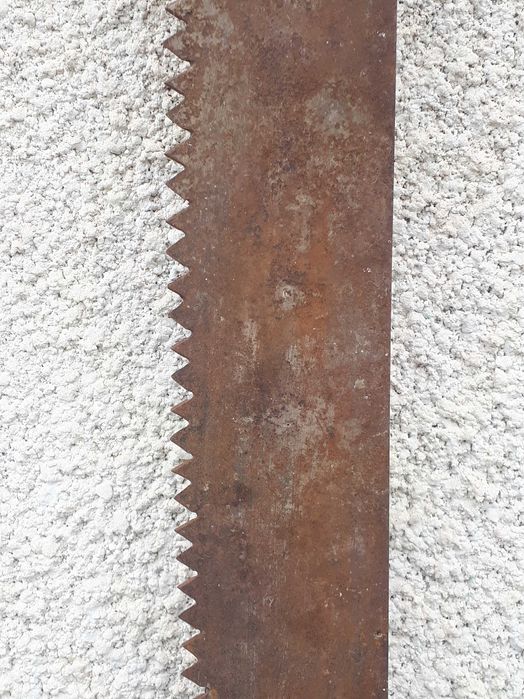 Трион - Шаран над 80 годишен