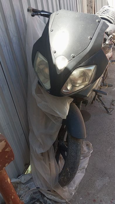 Reiser sport 225