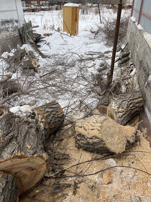 Продам дрова бревно