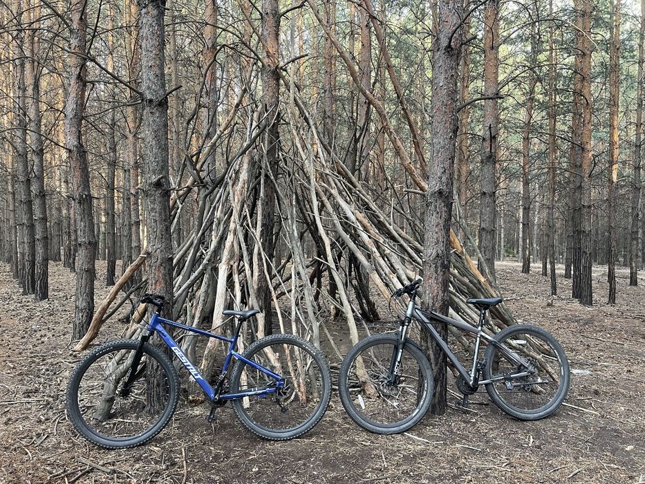 Велосипед gestalt