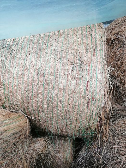 Baloti de lucernă si Fân