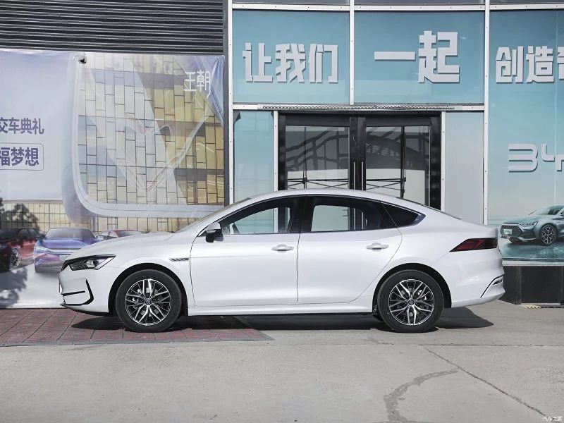 “Gonzo motors” Byd Qin