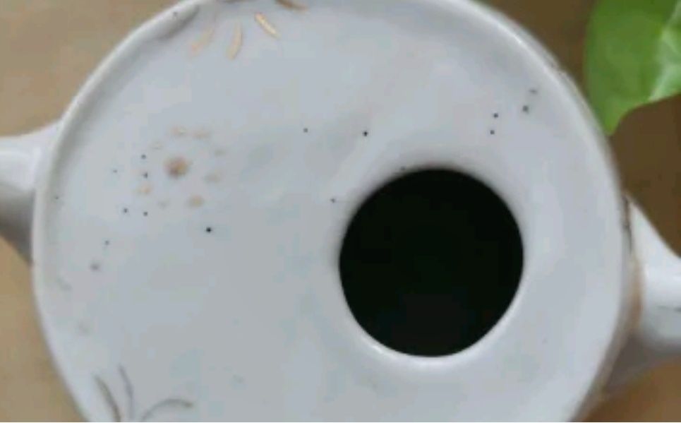 Порцеланово бърдуче.