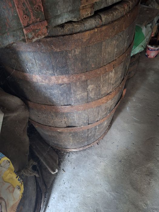 Vând putini/brădoi diferite categorii si greutate de stejar sanatoase cei interesati sa sune!! Nu deranjati inutil 0771616567 raspund si pe whatsapp