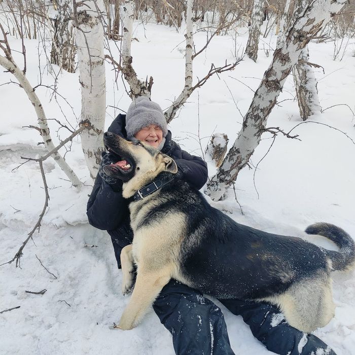 Восточник на вязку