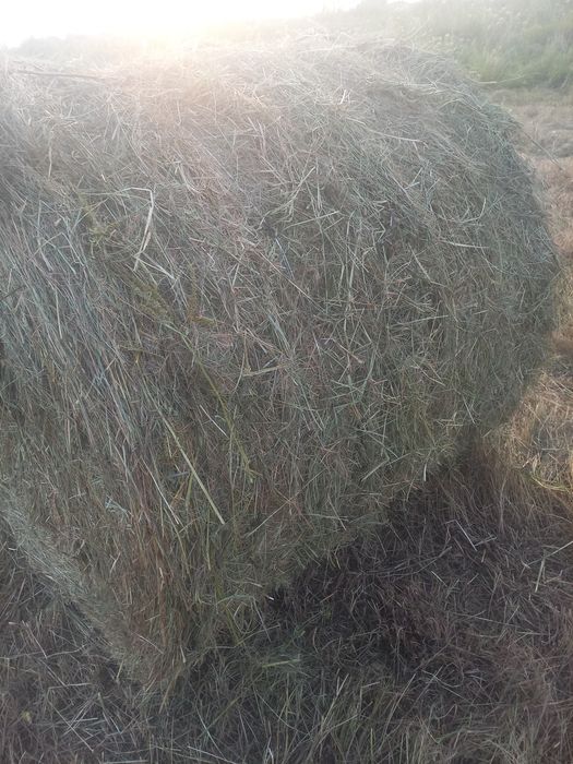 Продам сено разнотравье