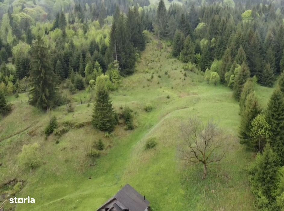 Teren intravilan 7.228 mp cu construcții, Sătic-Rucăr, Argeș