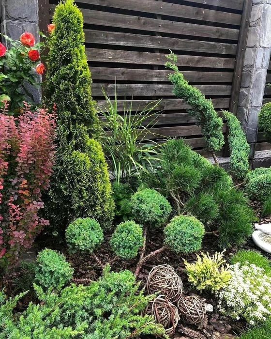 Садовник Аграном.Посадка газонов,