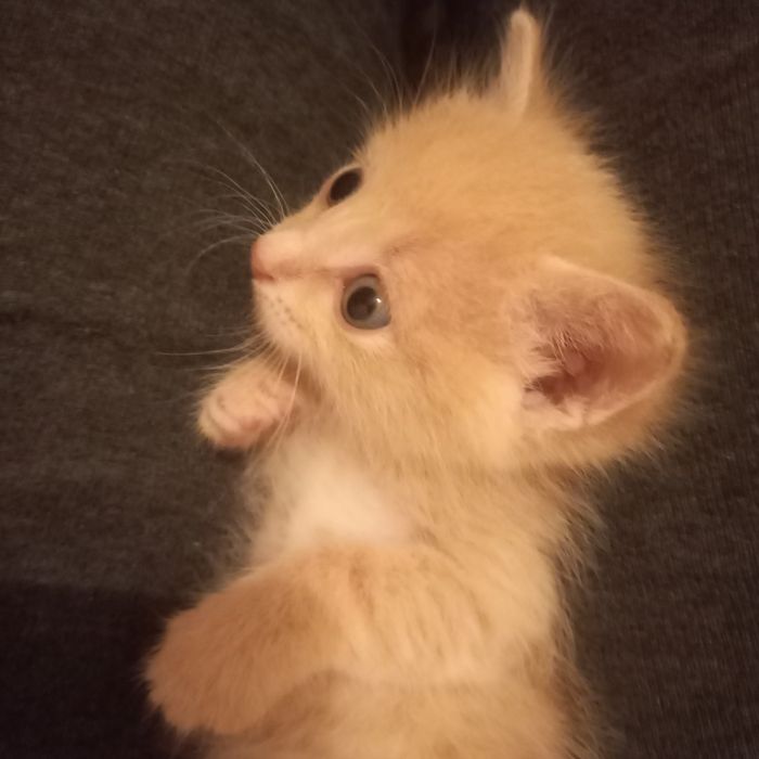 Малыш мальчик  1 месяц