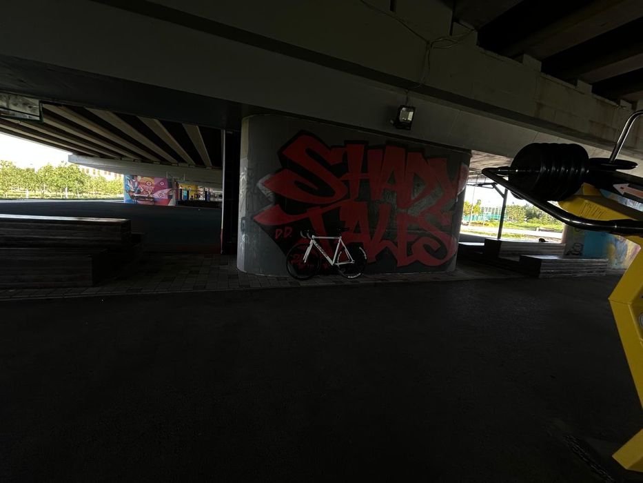 Фикс Tsunami snm 100