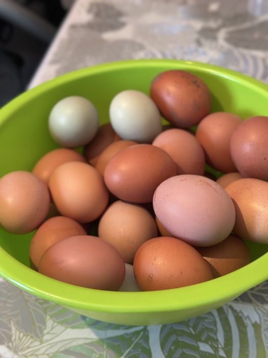 Домашние яйца  в продаже