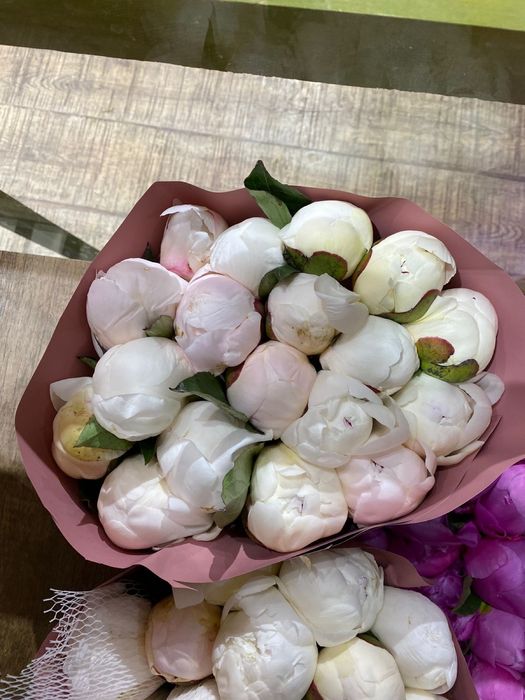 Пионы оптом и розницу