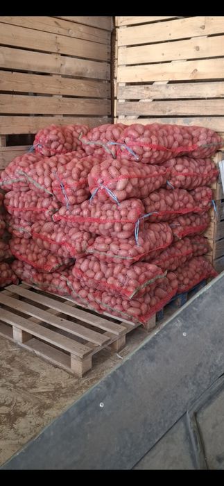 Cartofi de consum alb și roz