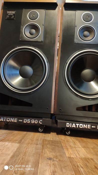 Акустика Diatone DS-90C