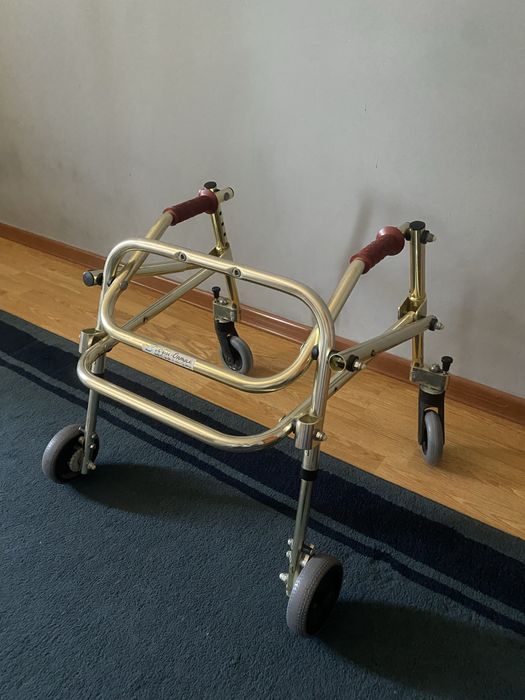 Детский инвалидный ходунок