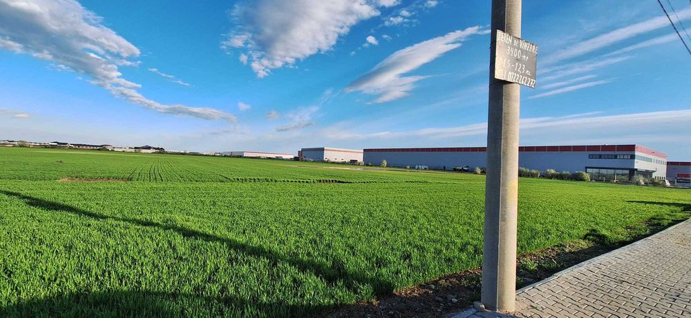 Teren intravilan 3400 mp, Dragomiresti-Deal, Str. Ulmului