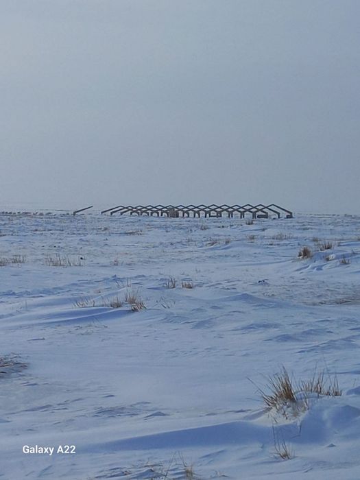 Продаеться действующее К/Х