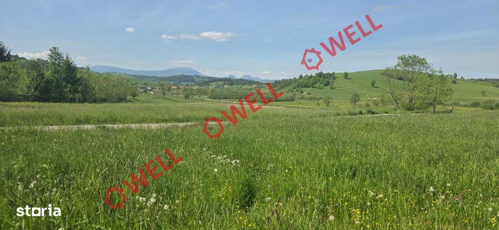 Teren de vânzare în Bărcani, pe strada Bisericii!