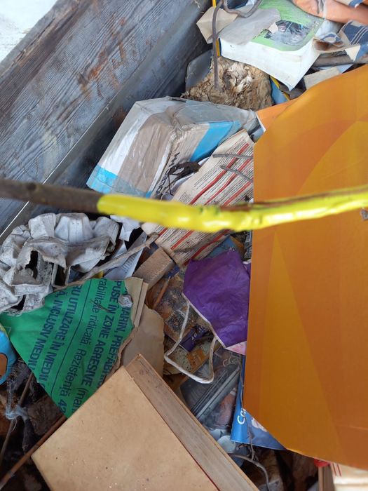 Vand vopsea sigma nou verde deschis