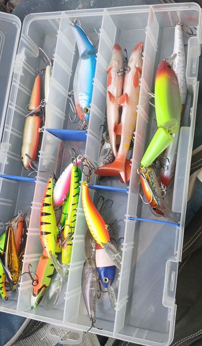 Set de  voblere adâncime (Deep Diver) pentru știucă / șalău / somn + cutie modele cu barbetă lungă (inclusiv mărci precum D.A.M. Deep Runner)