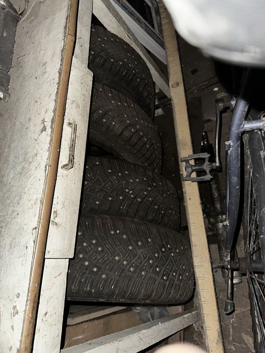 Зимняя рещина r15