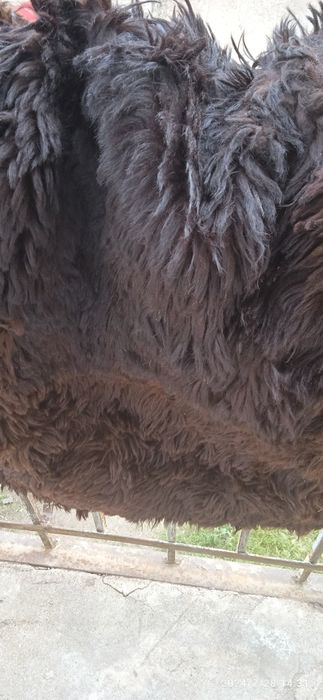 Продам тулуп   мужской  52-54 р