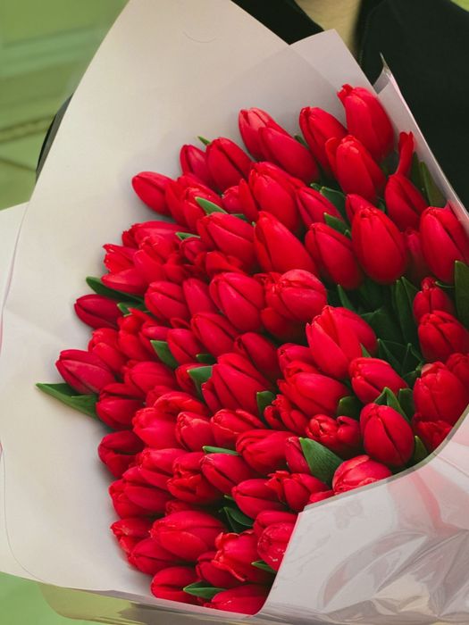 Тюльпаны букет букеты цветы цветов