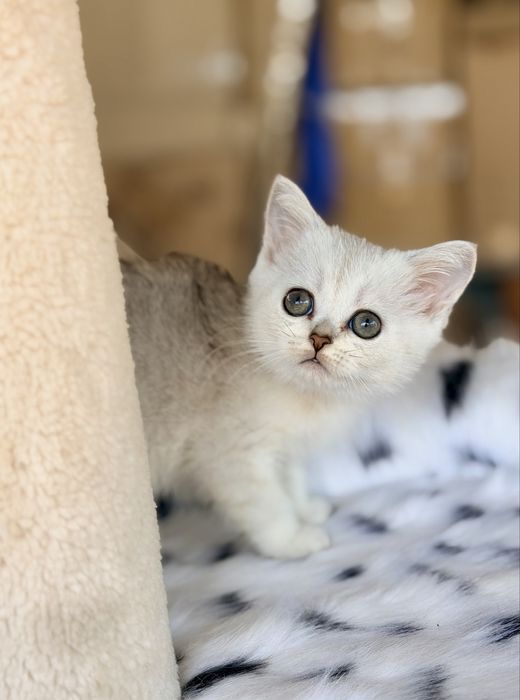 Малыши с документами