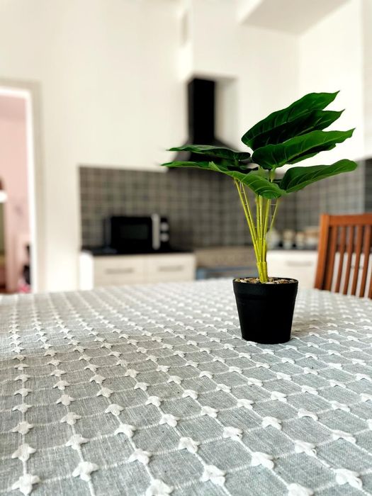 шикарная за 16900