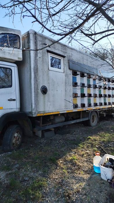 Vînd camion Mercedes atego an 1997 cu lift  și cameră extracție  64 la