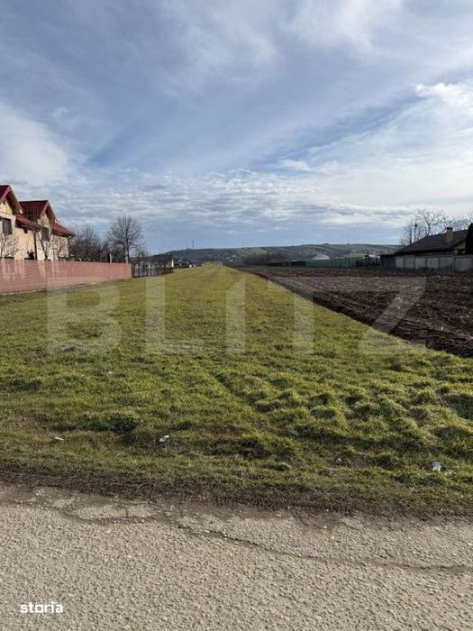 Teren intravilan, 1500 mp, zona Albesti