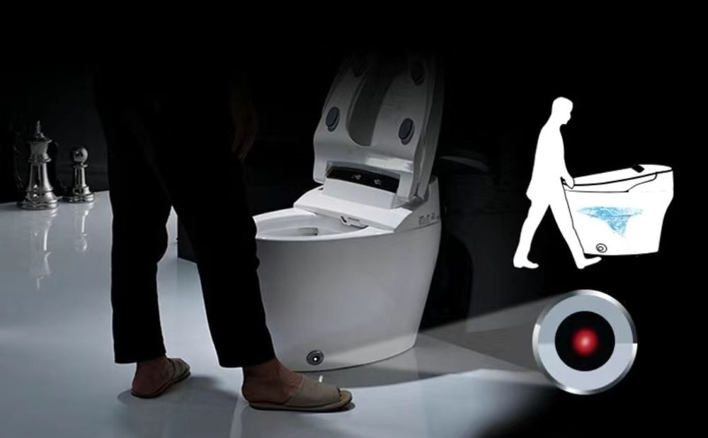 Унитаз с подогревом и мойка биде