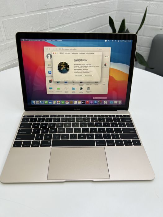 Apple Macbook 12’ Retina 2015