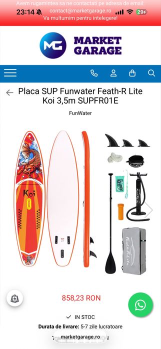 paddle board sup